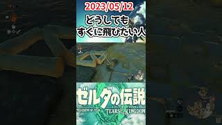 とにかく飛びたい配信者【ゼルダの伝説ティアーズオブザキングダム】 #shots