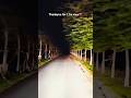 HAUNTED ROAD Shorts Ghost Bhoot Spirit Hauntedroad Like Subscribe Tree 100kview Youtube