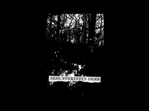 Upir / Forbidden Tomb (Canada / Indonesia) —  S/T  — 2021 split