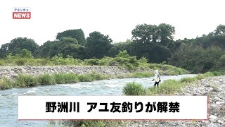 【アミンチュニュース】 野洲川　アユ友釣り解禁！