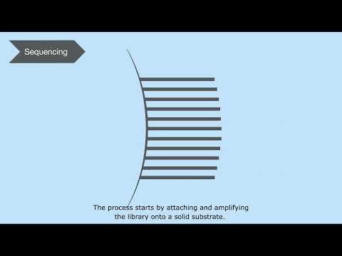 How Next Generation Sequencing (NGS) Works