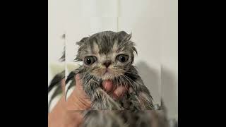 Cover art for El Taxi - sped up