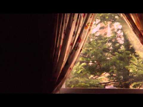 Cabin in the Burn - Evening Hymns