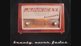 Junkie XL - Beauty Never Fades (Extension)