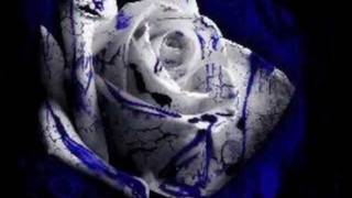 Any twisted Thing by The Bad Examples