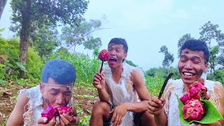 Download lagu Rimba Man Menemukan Buah Naga Liar Dikebun Ekpresinya Kocak! mp3 Download lagu Rimba Man Menemukan Buah Naga Liar Dikebun Ekpresinya Kocak! mp3