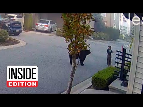 7-Year-Old Encounters Massive Bear While Riding Scooter