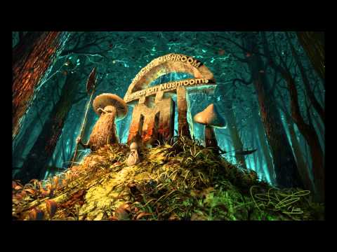Video thumbnail for Nerds On Mushrooms