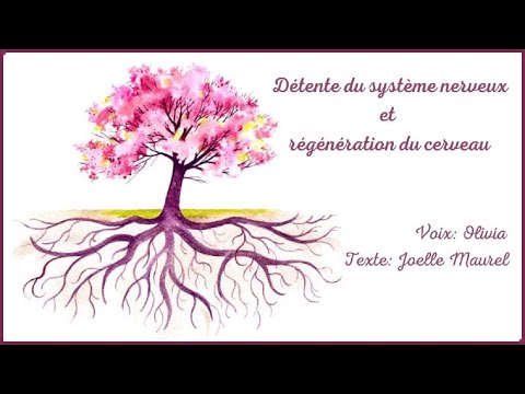 🌸 (Version longue) Méditation guidée - Détente du système nerveux et régénération du cerveau