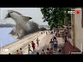 20 Times Megalodon was Caught on Camera and Spotted in Real Life