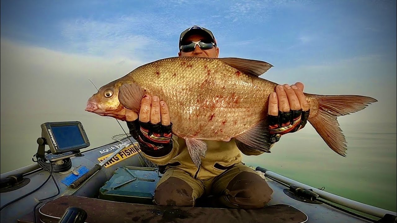 Рыбалка на СУДАКА с ТРОФЕЯМИ!