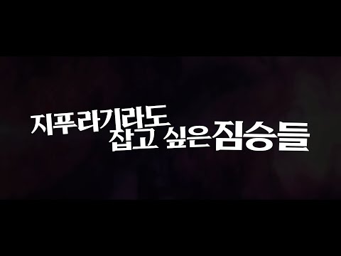 지푸라기라도 잡고 싶은 짐승들