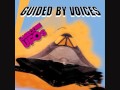 Guided by Voices - Perhaps We Were Swinging