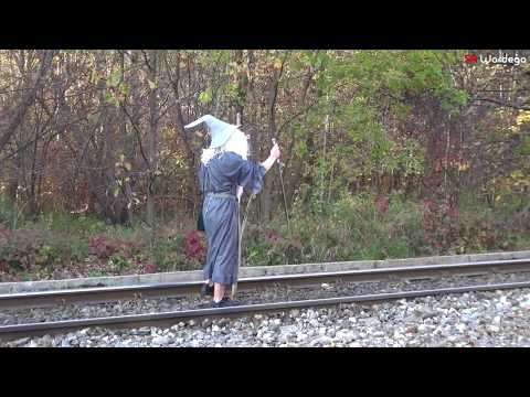 Gandalf: You Shall not Pass (SA Wardega) Hobbit