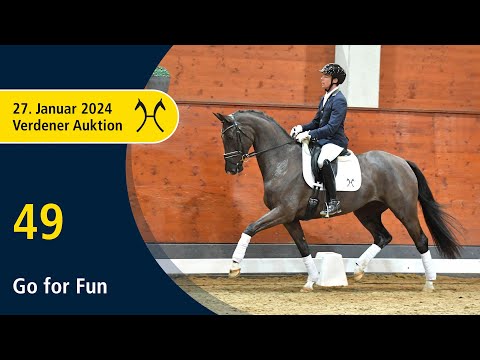Verden Auction Online - Sporthorses - Jan. 27 - No. 49 Go for Fun by Goldberg - Franz Liszt