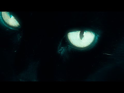 siropmov - Nu ma cauta | Visualizer