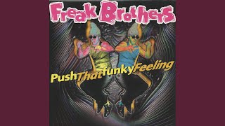 Push That Funky Feeling (Radio Version)