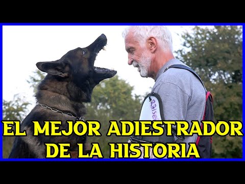🏆The best dog trainer in history🧔🐺(reuploaded)