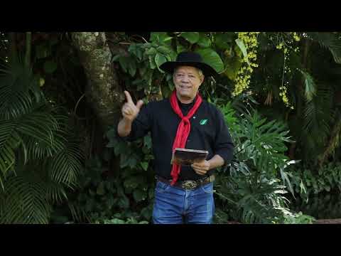 Programa Siqueira Martins | Assista à íntegra de hoje - 25/10/2025