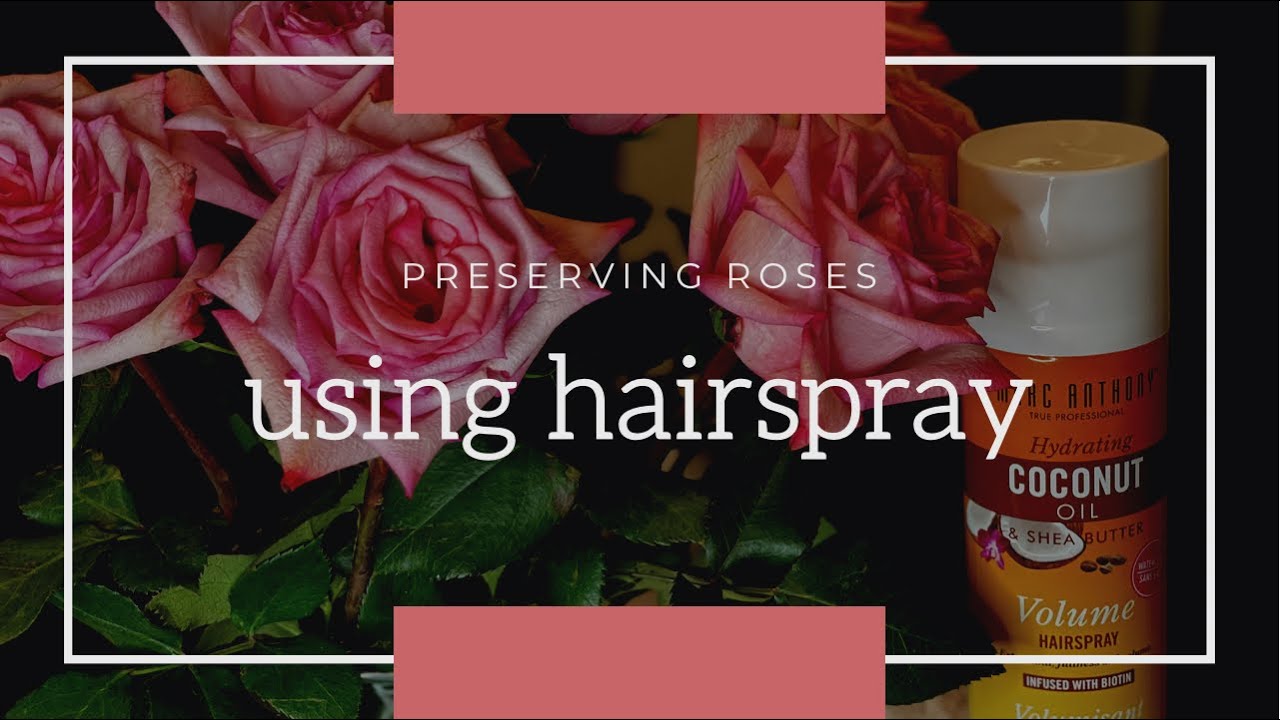 How do you preserve flowers with hairspray? Life Set Go