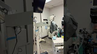 Do you like surprises? Then follow me! #dentists #dentalcare #rootcanaltherapy  @FlexivoDental