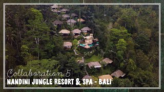 Collaboration with Nandini Jungle Resort & Spa in Bali!!