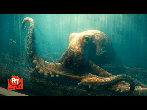 ザ・ボーイズ - WTF?! ディープ、タコに殺される？！ (S4E7) | Movieclips (The Boys - WTF?! Deep KILLS His Octopus?! (S4E7) | Movieclips)