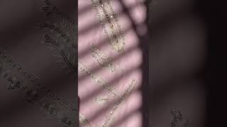 Baby Pink Embroidered Lawn Kurta Set - Video 1
