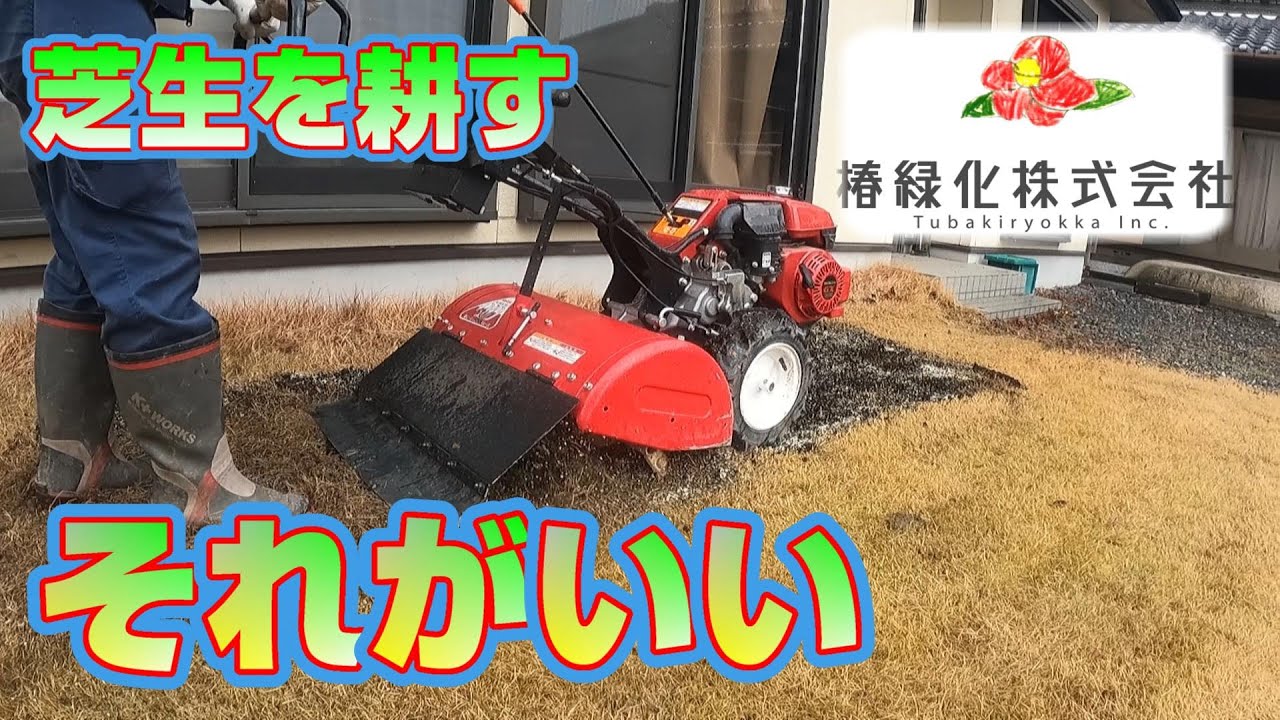 【椿緑化式全面改良】土が原因で芝管理を諦めた方は是非見てください。施工編