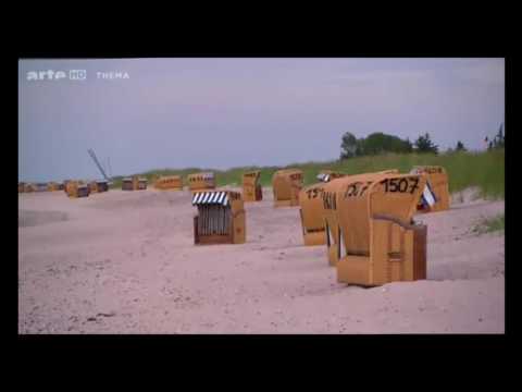 ARTE-Dokumentation über Fischerei-Industrie / Ostsee