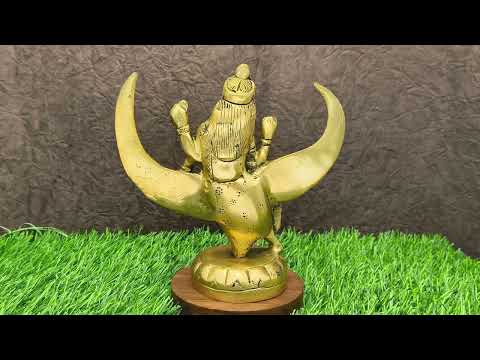 Brahmani, Hindu Goddess Mataji Maa Among Saptamatrika Divine Statue video