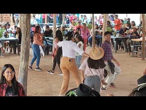 TECO Y SUS LEGÜEROS. En Carpa Loco Wanabara