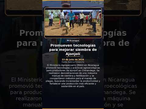 Promueven tecnologías para mejorar siembra de Ajonjolí