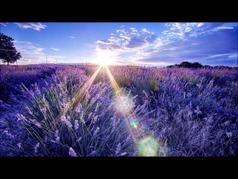 FGC 075: The Flyers & Mike Sonar - Signalica (Original Mix)