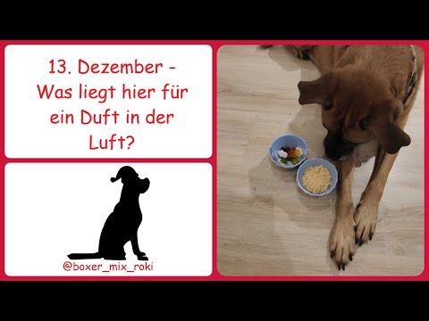 Rokis Adventskalender: 13. Dezember – Was liegt hier für ein Duft in der Luft?