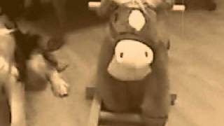 Dramarama - I&#39;ve Got Spies