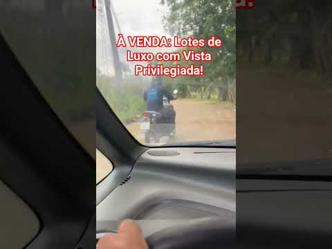 Buracos à Venda? A Realidade Surreal das Ruas da Minha Cidade! 🕳️😂
