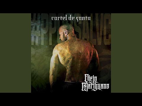 Somos Chidos (feat. Bicho Ramirez)