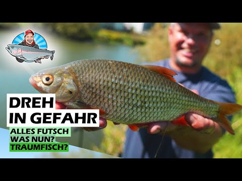 Feedern am Fluss - Diese Methode fängt fast immer! FANG MIT FABI 10