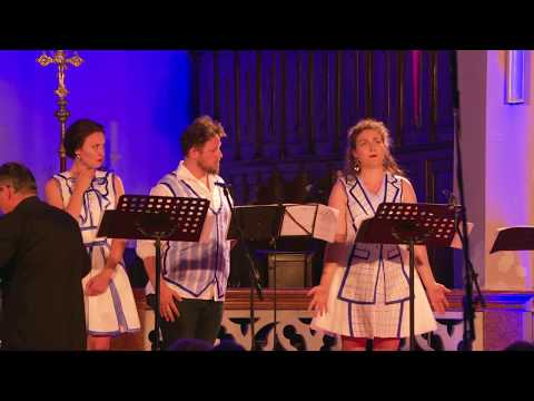 Olja Jelaska,  Sanja Ivić-libretto, U TRAGANJU ZA PLAVOM PTICOM, Vila, dio iz arije