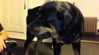 vivir sin ti esta es muy dificil mi pitufon Tau