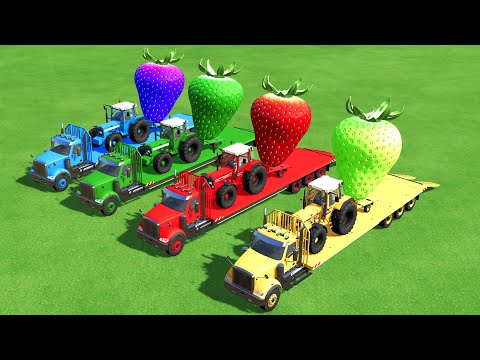 LOAD & TRANSPORT COLORED GIANT STRAWBERRY WITH CASE TRACTORS! FS22 MODS | Farming Simulator 22