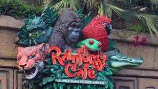 One Last Trip to Downtown Disney's Rainforest Cafe