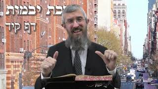 מסכת יבמות דף קיד - 8 דקות של לומדות ועמקות בדרך הלימוד הישיבתית
