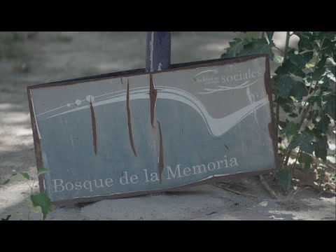 Bosque de la Memoria