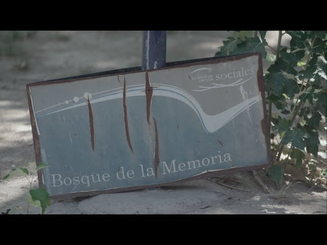 Bosque de la Memoria | Facultad de Ciencias Sociales | UNSJ