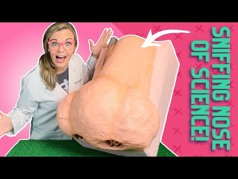 How MUCUS keeps us healthy | Immune System | Gross Science