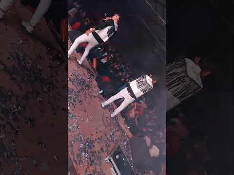 en vivo 25 de julio isla de cañas