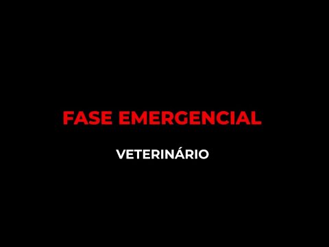 Veterinários - Entenda a Fase Emergencial do Plano SP