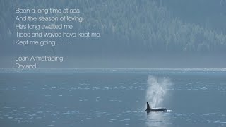 Joan Armatrading - Dry Land